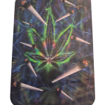 Tray with Magnetic Lid Leak outline